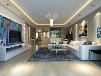60平米现代风格一居室设计现代客厅装修图片
